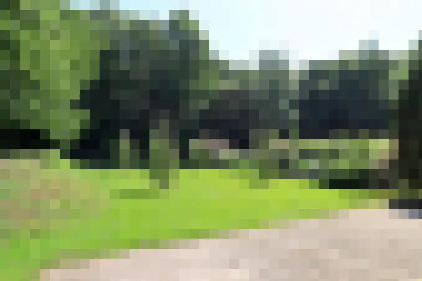 Marknesserweg 28 Marknesse thumbnail 9