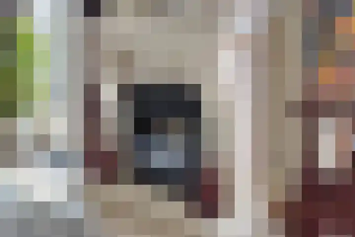 Marknessestraat 2 Tilburg thumbnail 14