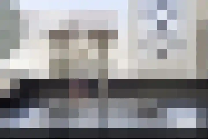 Marknessestraat 2 Tilburg thumbnail 22