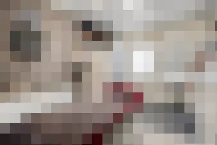 Marknessestraat 2 Tilburg thumbnail 25