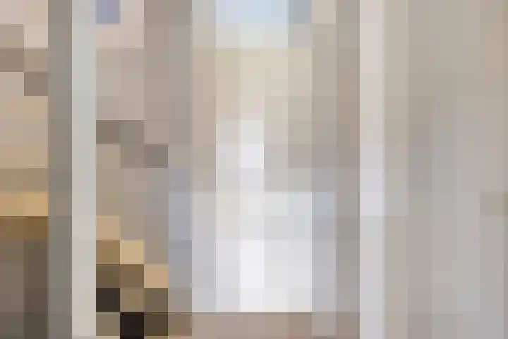 Marknessestraat 2 Tilburg thumbnail 27