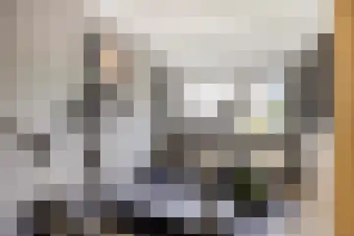 Marknessestraat 2 Tilburg thumbnail 35