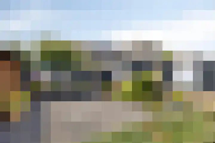 Marknessestraat 2 Tilburg thumbnail 46