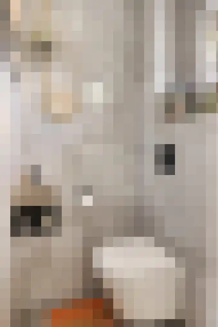 Marknessestraat 2 Tilburg thumbnail 8