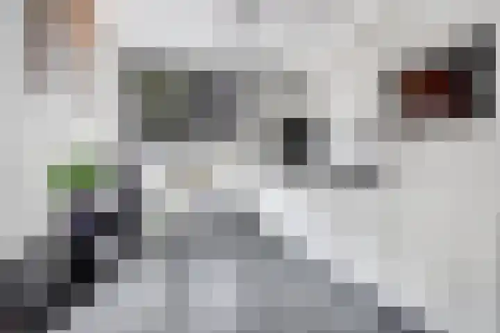 Marknessestraat 22 Tilburg thumbnail 11