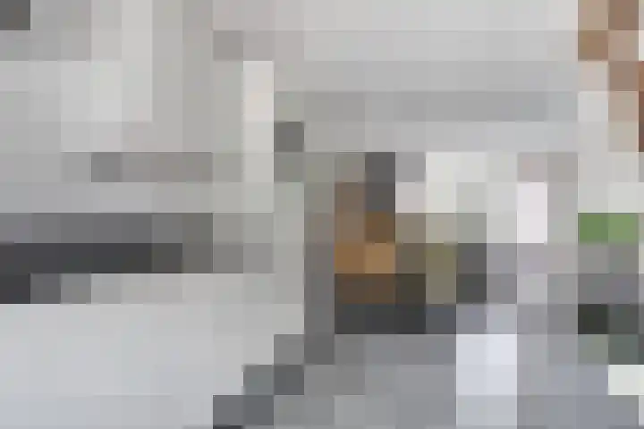Marknessestraat 22 Tilburg thumbnail 12