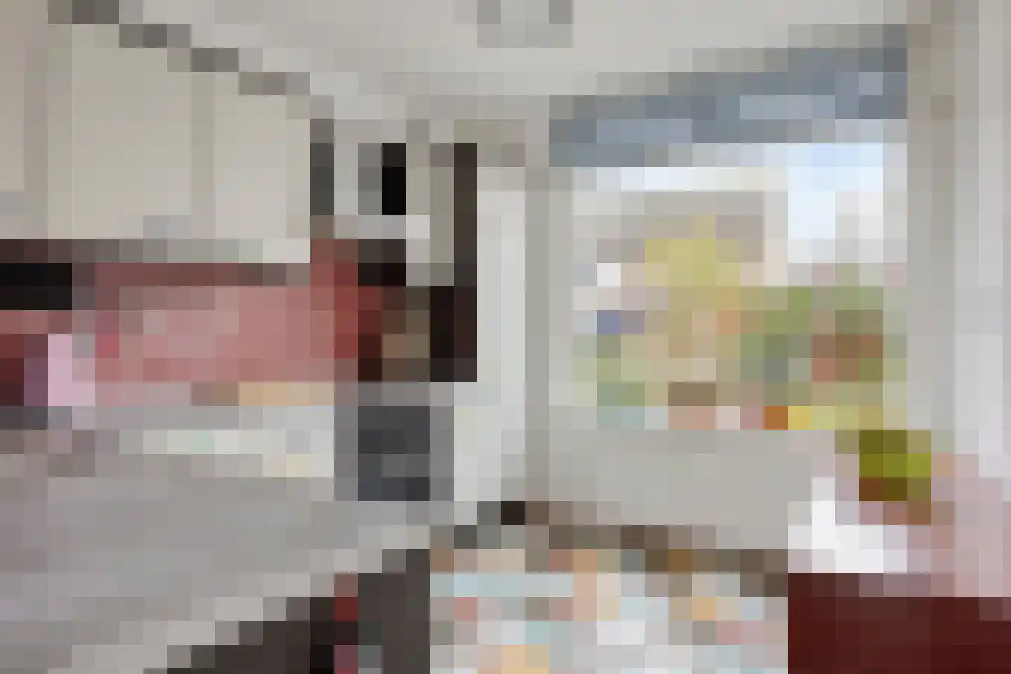 Marknessestraat 23 Tilburg thumbnail 20