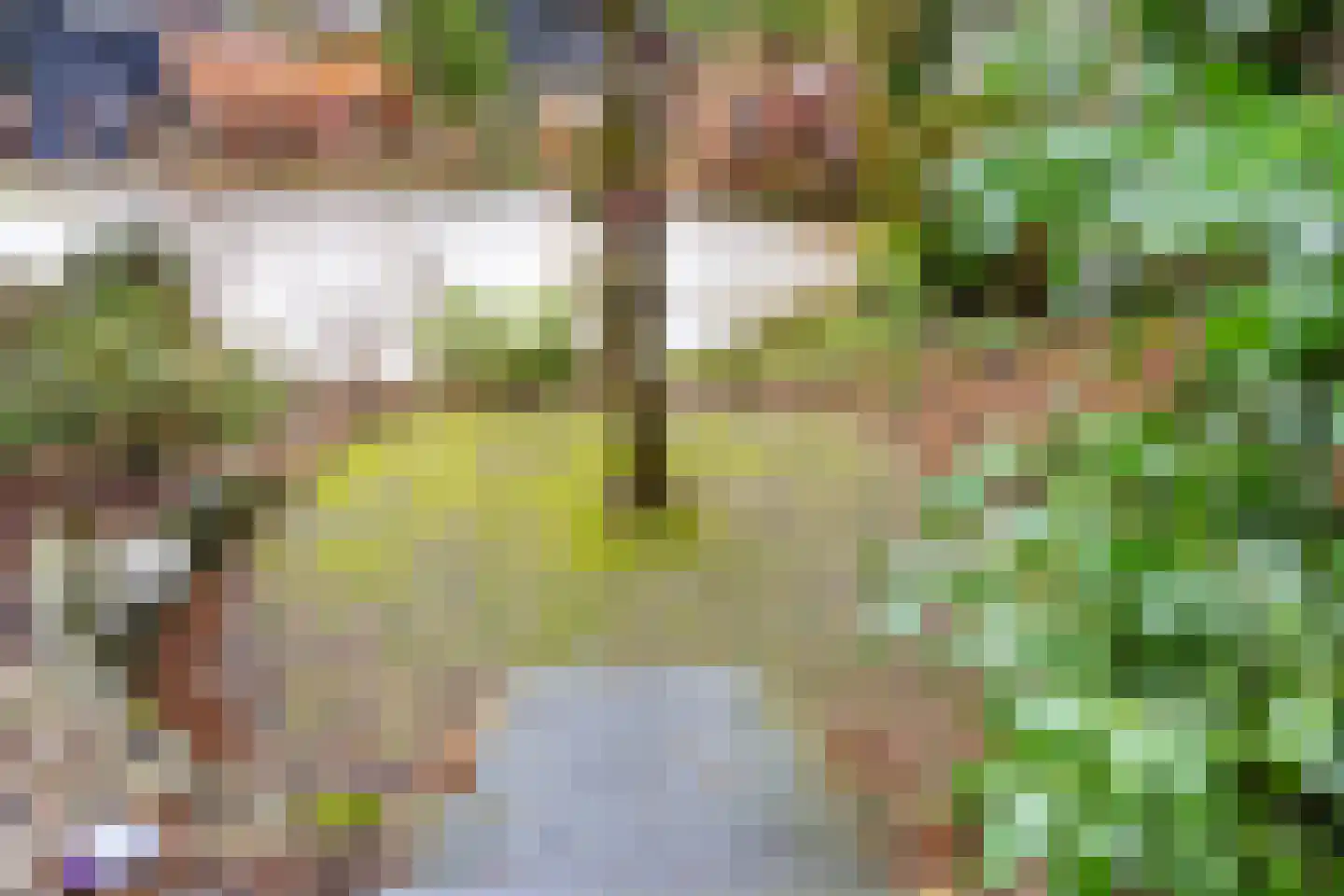 Marknessestraat 23 Tilburg thumbnail 42