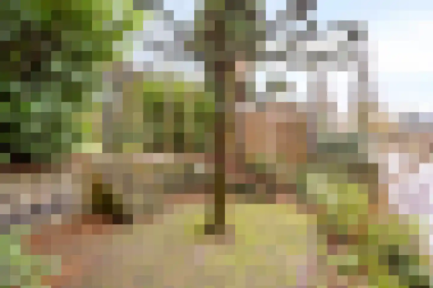 Marknessestraat 23 Tilburg thumbnail 43