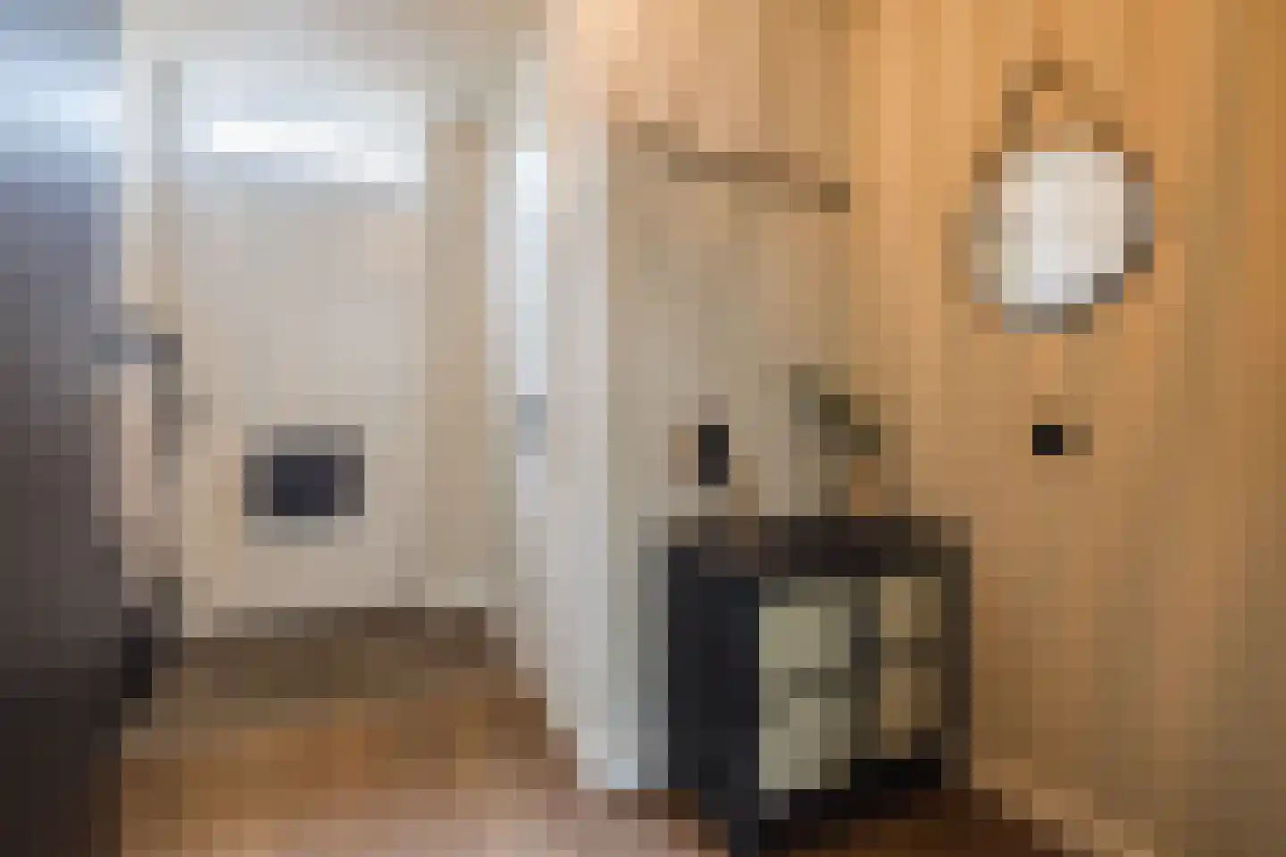 Marknessestraat 7 Tilburg thumbnail 14