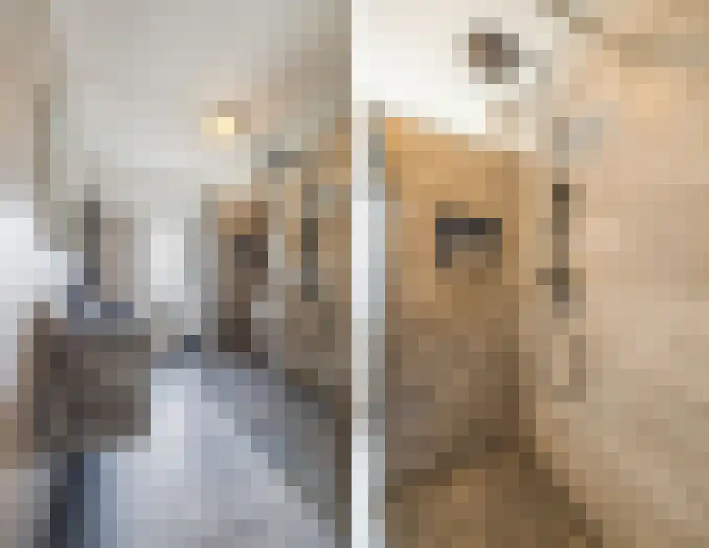 Marknessestraat 7 Tilburg thumbnail 24