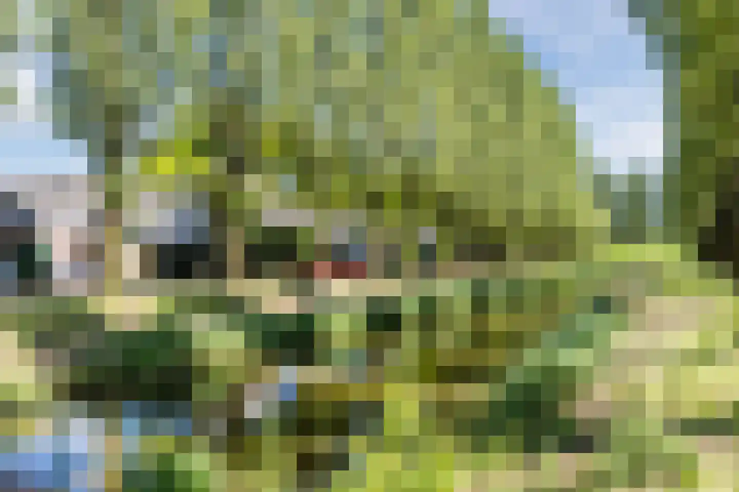 Marknessestraat 7 Tilburg thumbnail 35