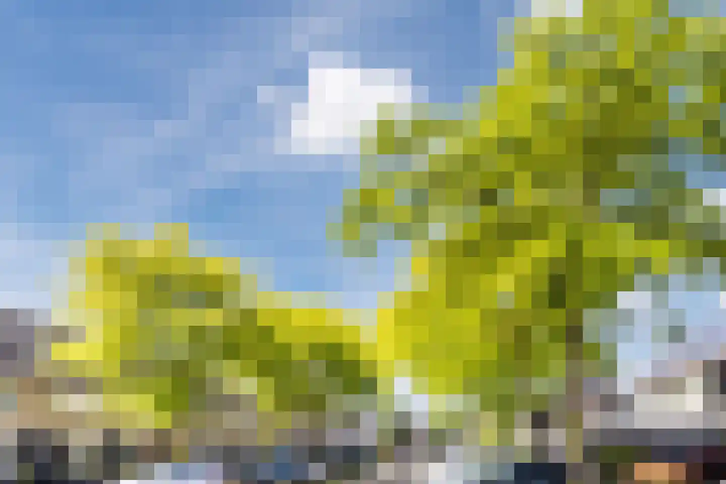 Marknessestraat 7 Tilburg thumbnail 40