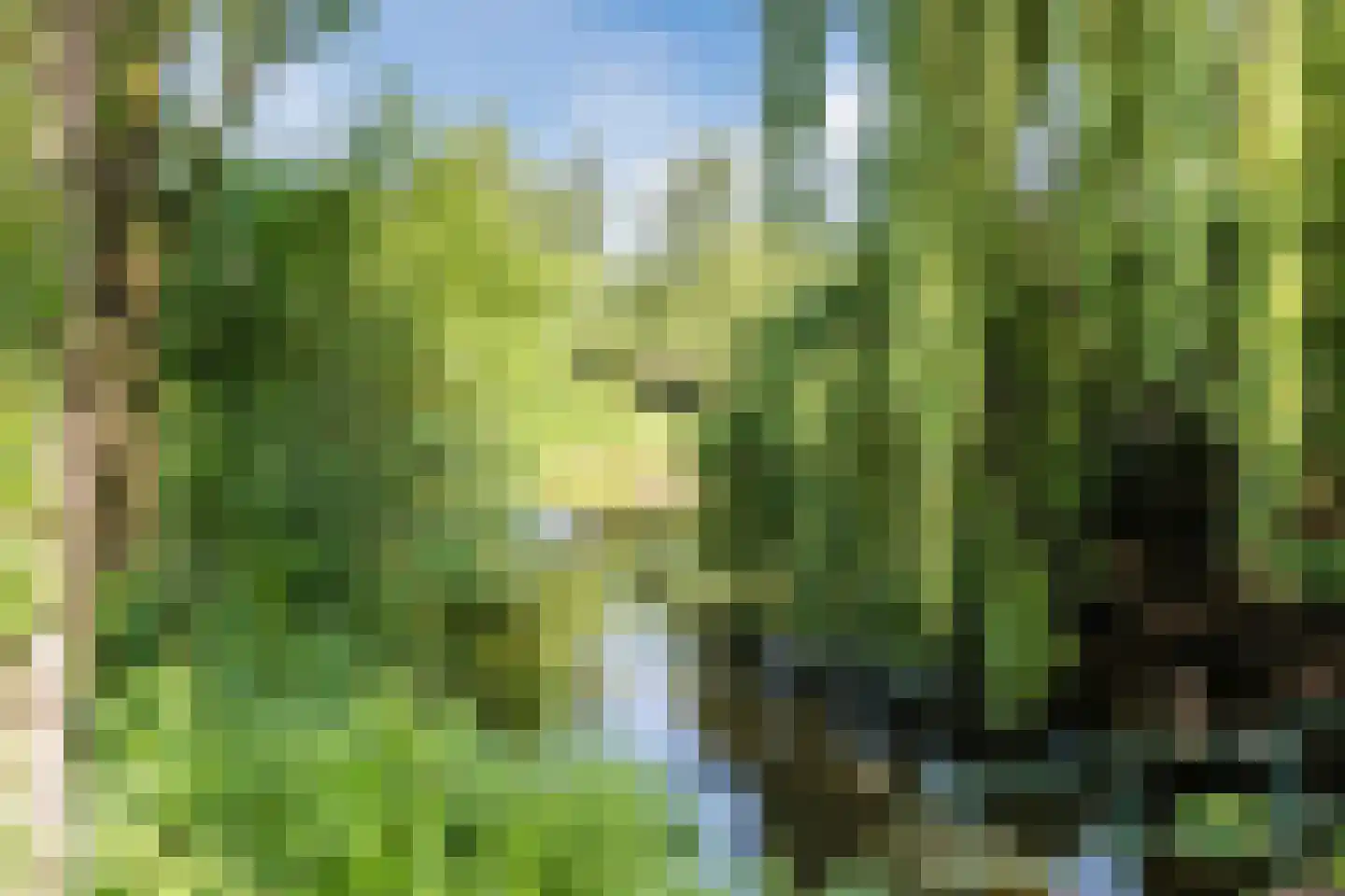 Marknessestraat 7 Tilburg thumbnail 43