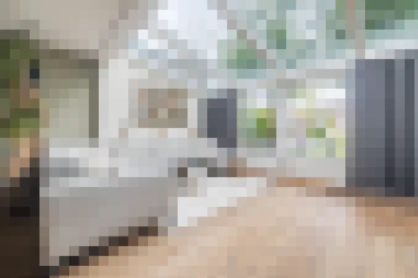 Marknessestraat 7 Tilburg thumbnail 7