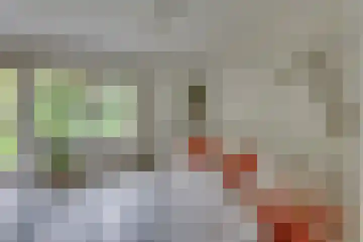 Markollenweg 2 Holten thumbnail 13