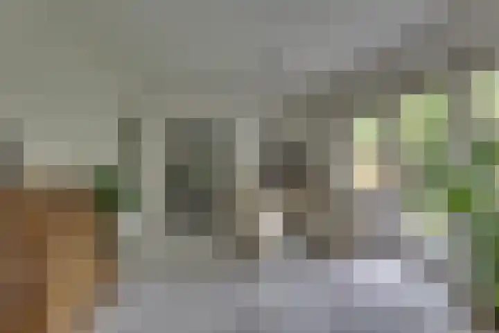Markollenweg 2 Holten thumbnail 14