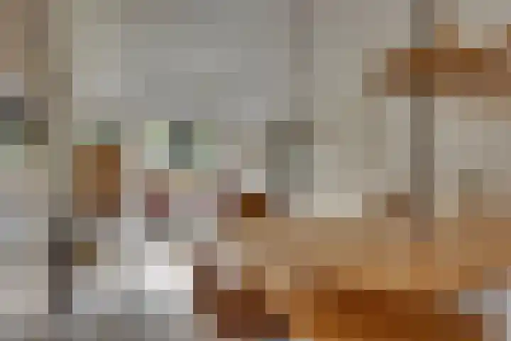Markollenweg 2 Holten thumbnail 33