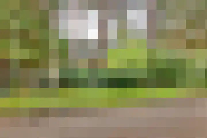 Markollenweg 2 Holten thumbnail 4