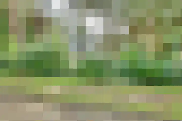 Markollenweg 2 Holten thumbnail 5