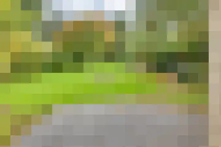 Markollenweg 2 Holten thumbnail 50