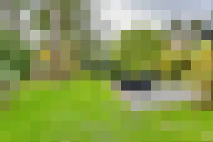 Markollenweg 2 Holten thumbnail 53