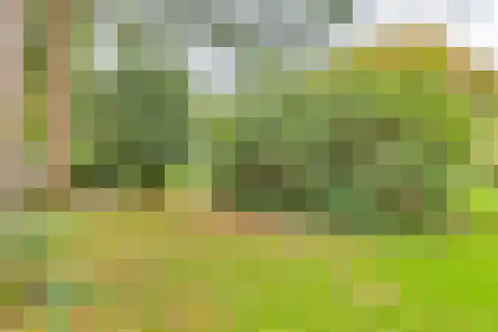 Markollenweg 2 Holten thumbnail 54
