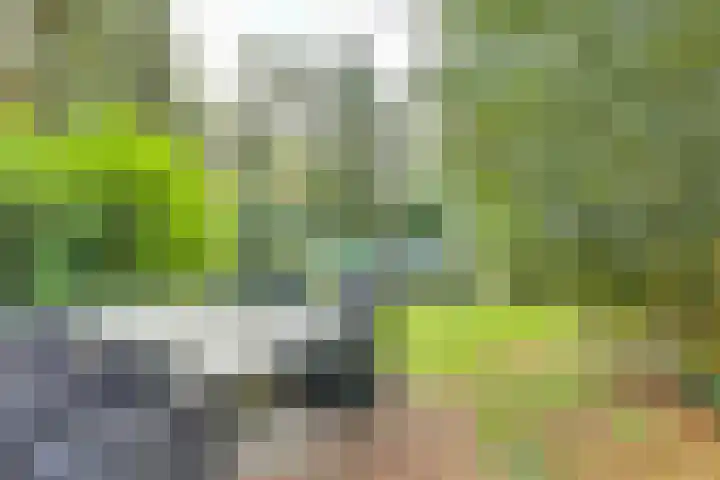Markollenweg 2 Holten thumbnail 55