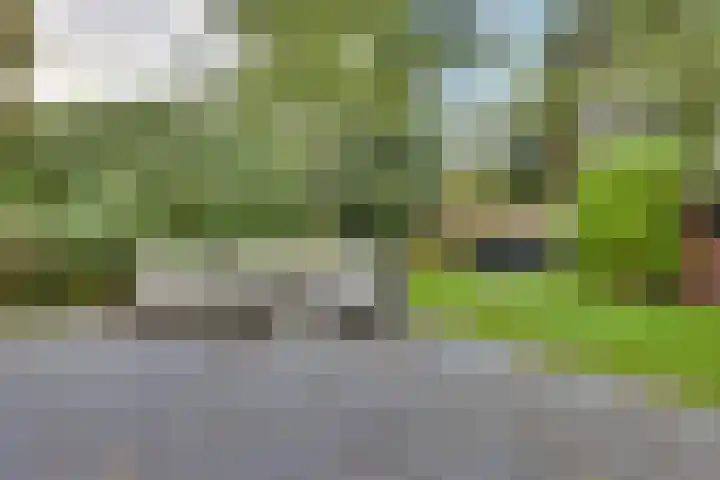 Markollenweg 2 Holten thumbnail 57