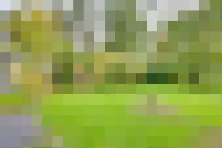 Markollenweg 2 Holten thumbnail 60