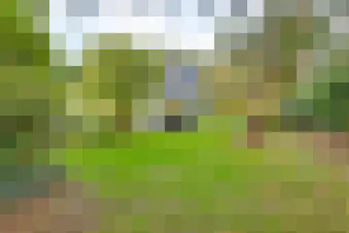 Markollenweg 2 Holten thumbnail 61