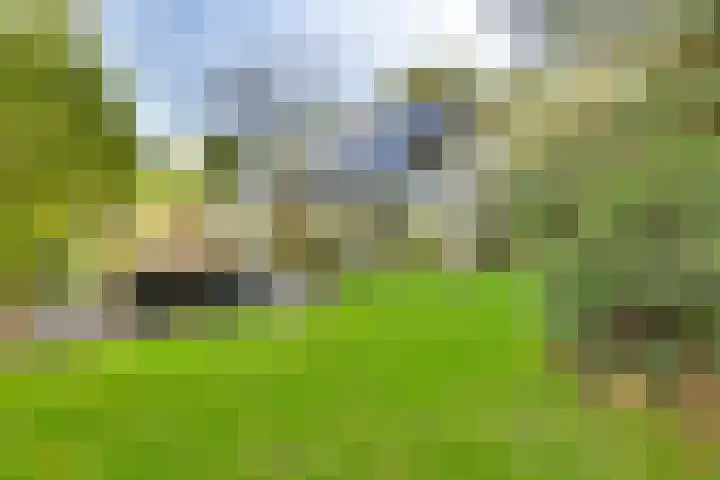 Markollenweg 2 Holten thumbnail 62