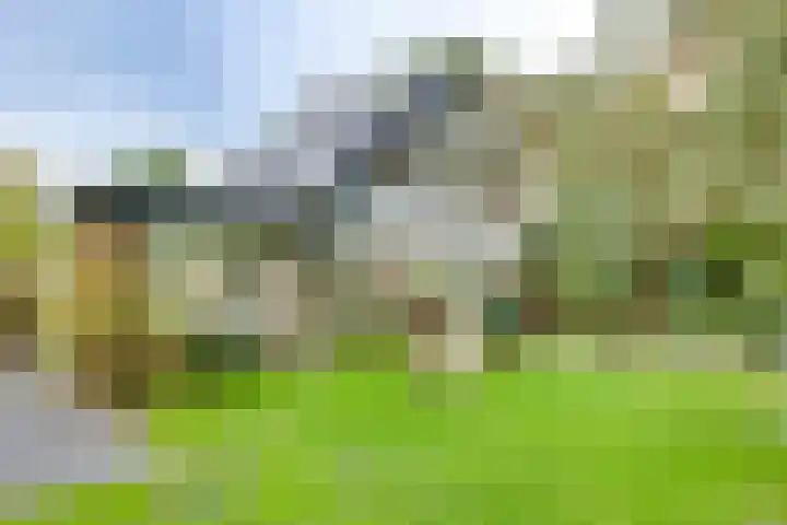 Markollenweg 2 Holten thumbnail 64