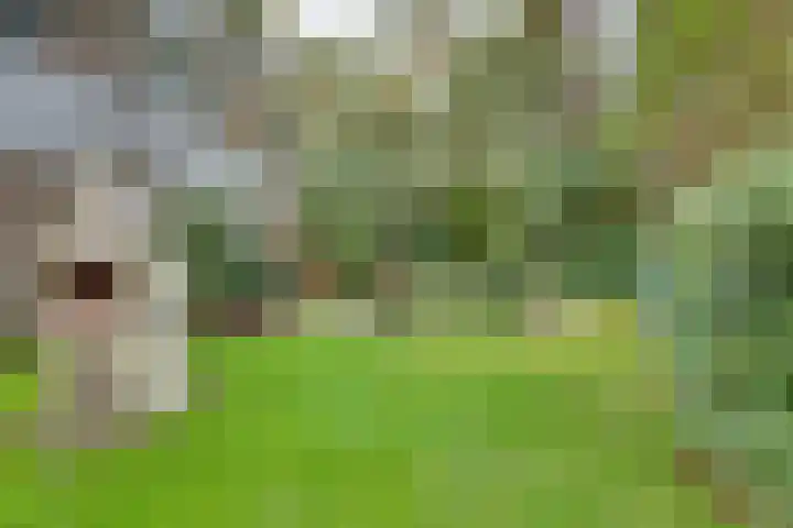 Markollenweg 2 Holten thumbnail 65
