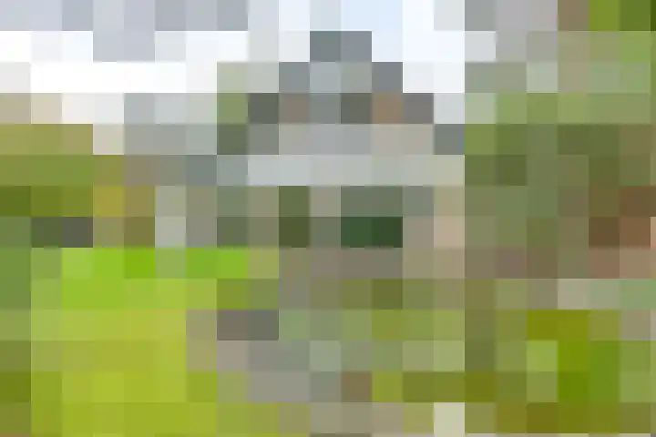 Markollenweg 2 Holten thumbnail 67