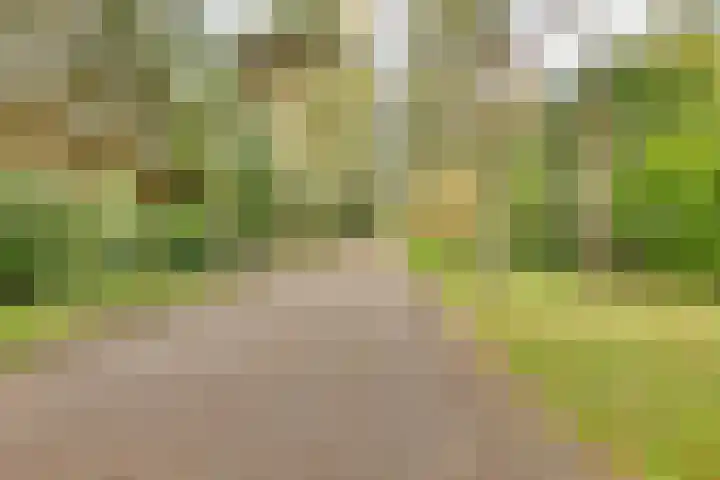 Markollenweg 2 Holten thumbnail 68