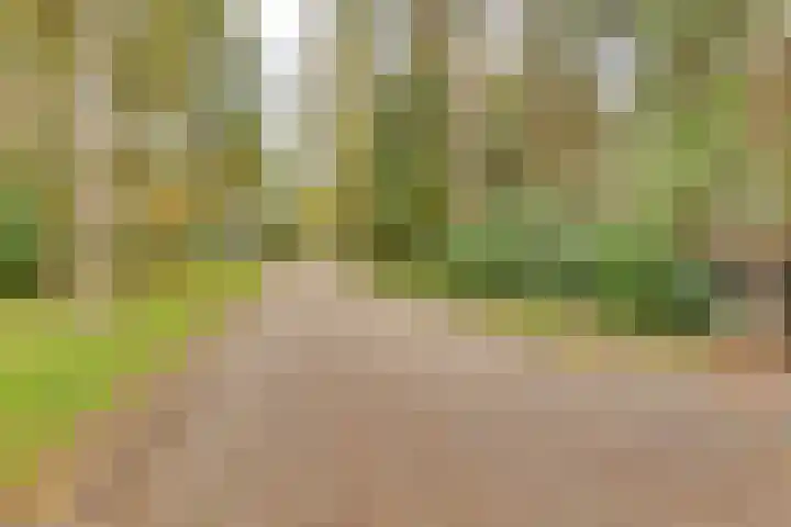 Markollenweg 2 Holten thumbnail 69