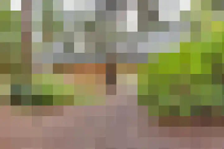Markollenweg 2 Holten thumbnail 7