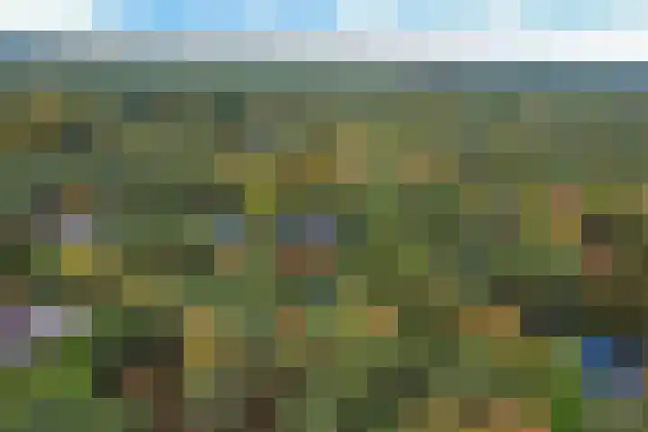 Markollenweg 2 Holten thumbnail 70