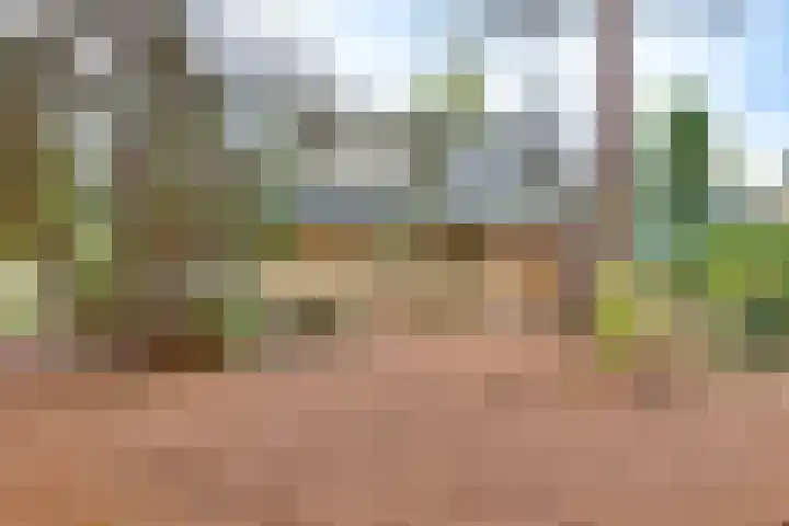 Markollenweg 2 Holten thumbnail 8