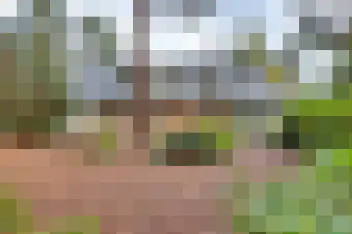 Markollenweg 2 Holten thumbnail 9