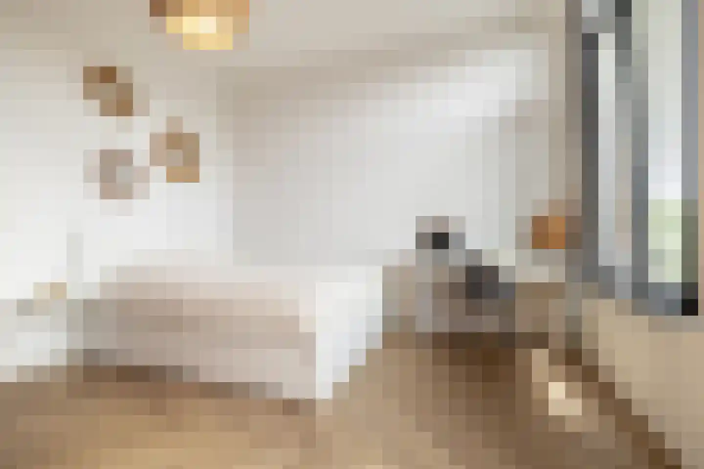 Marksingel 11 Breda thumbnail 29