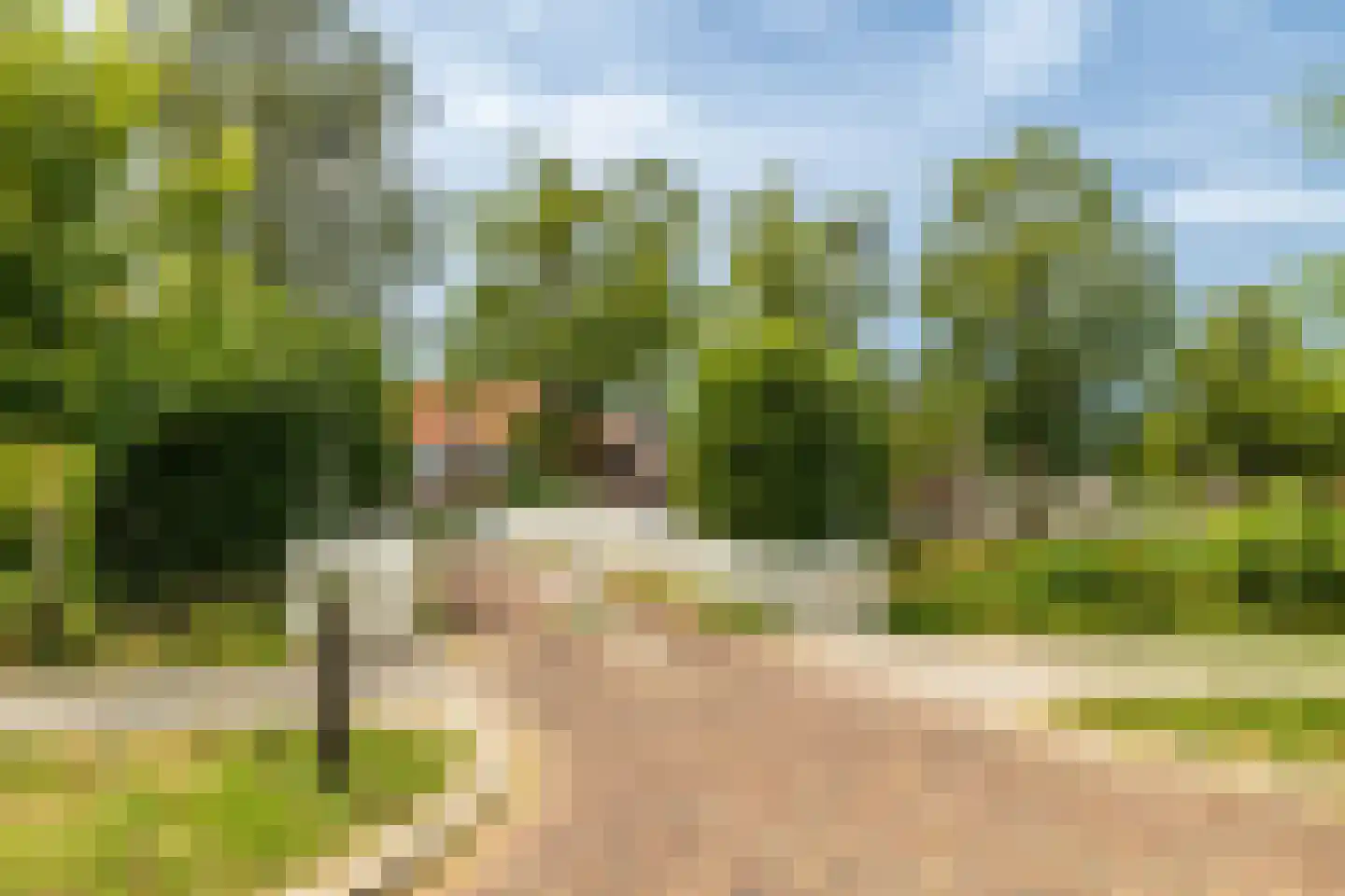 Marksingel 11 Breda thumbnail 49