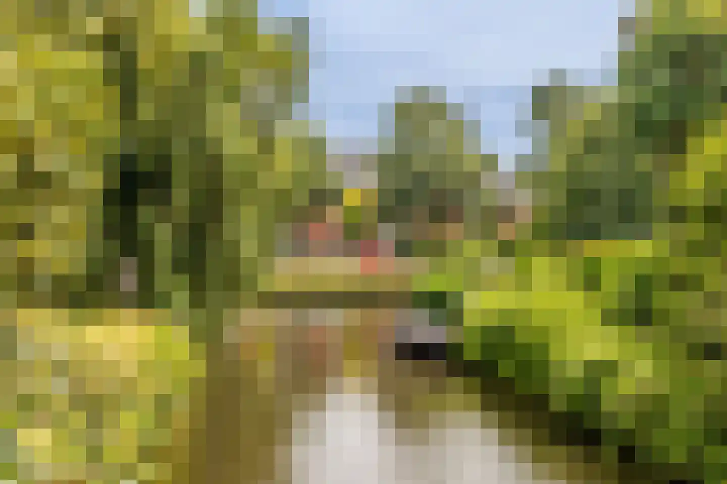 Marksingel 11 Breda thumbnail 50