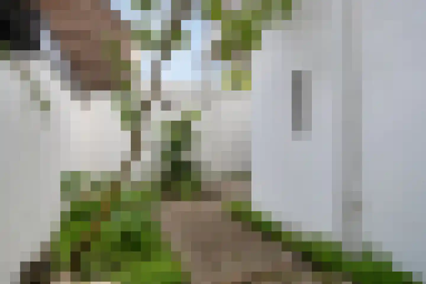 Marksingel 13 Breda thumbnail 18