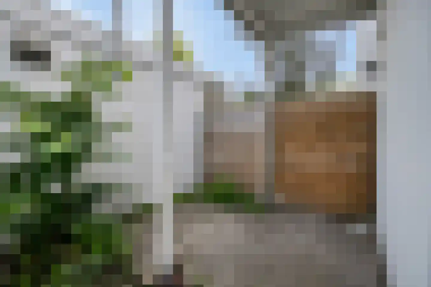 Marksingel 13 Breda thumbnail 19