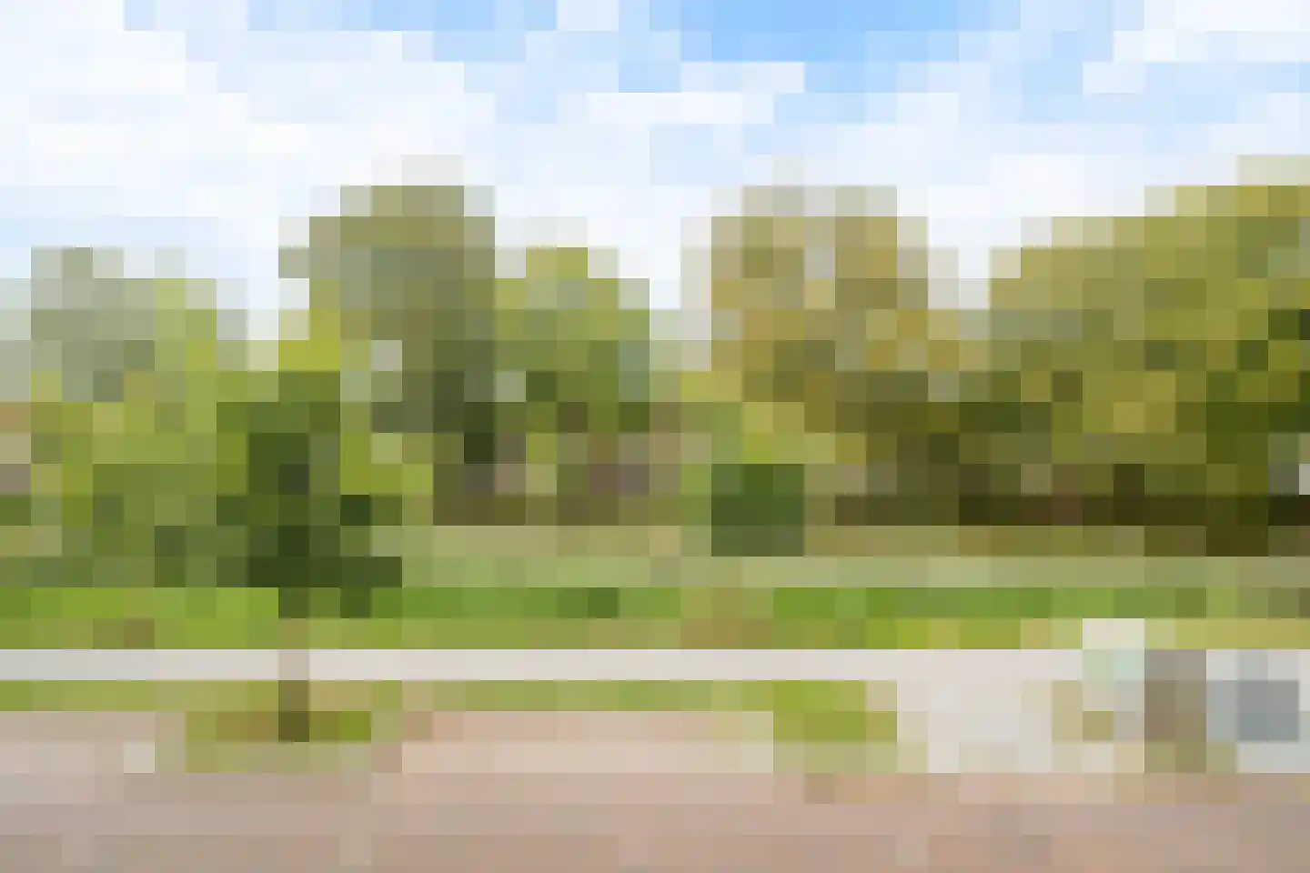 Marksingel 36 A Breda thumbnail 40