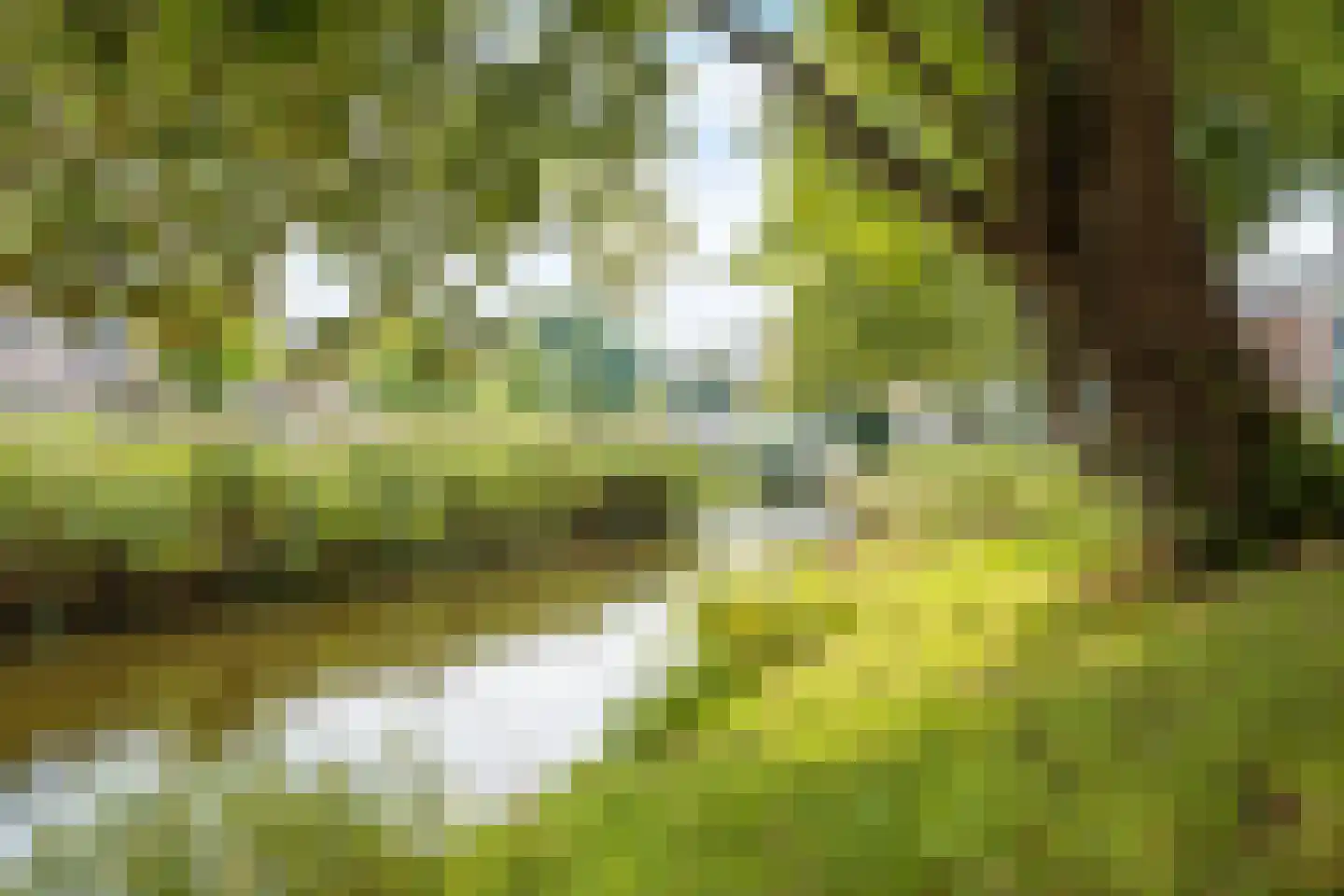 Marksingel 36 A Breda thumbnail 62