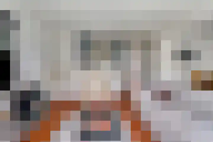 Marksingel 36 B Breda thumbnail 10