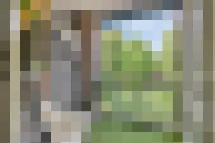 Marksingel 36 B Breda thumbnail 12